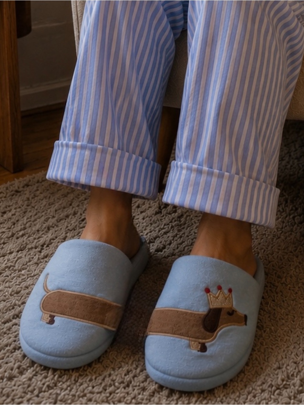DACHSHUND SLIPPERS